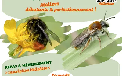 Affiche Bumblegeek Andrenaddict 2026