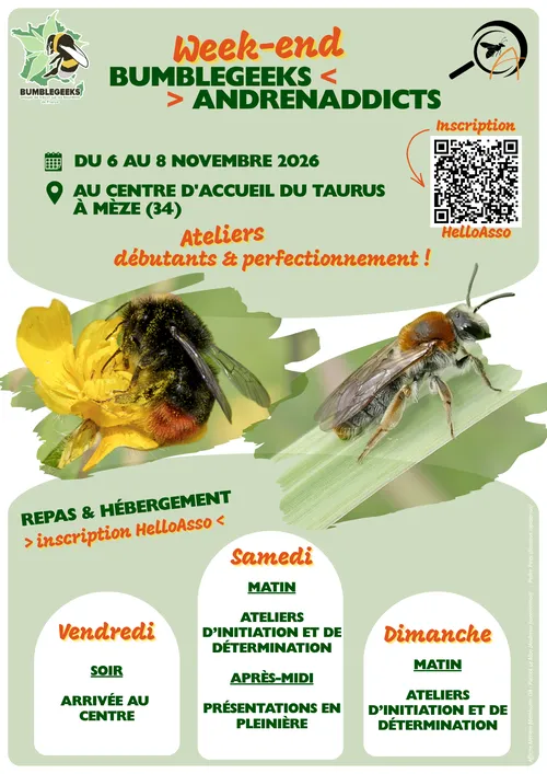 Affiche BumbleGeeks AndrenAddicts 2026